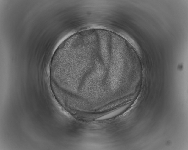 X0000096971198200802291114