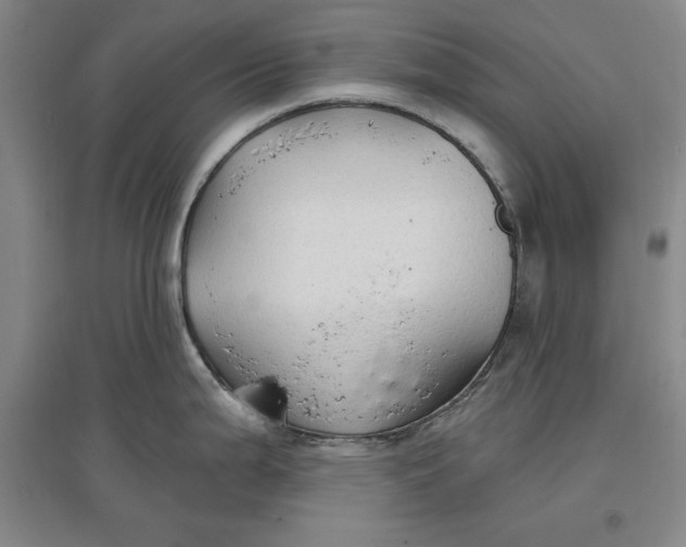 X0000096971199200802291114