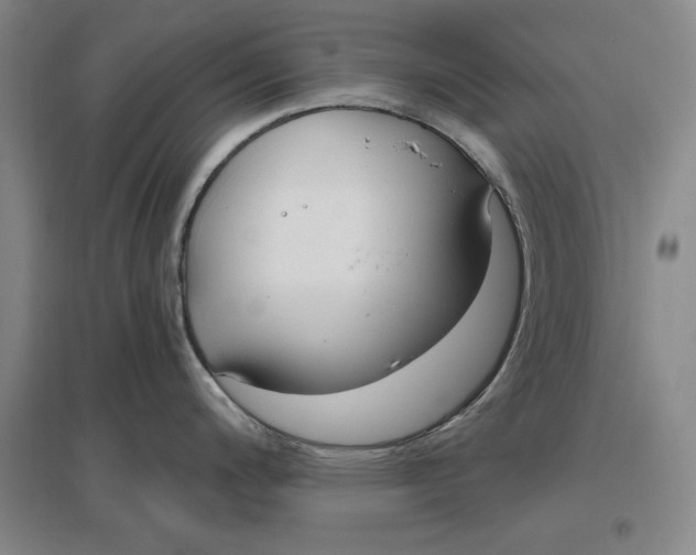 X0000096971200200802291114