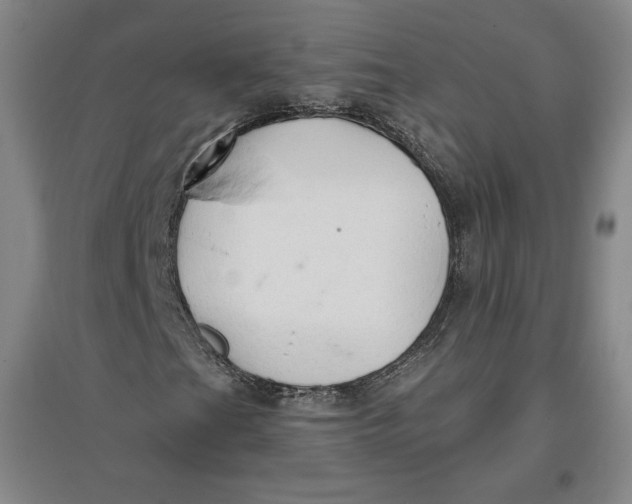 X0000096971201200802291113