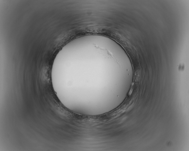 X0000096971202200802291113