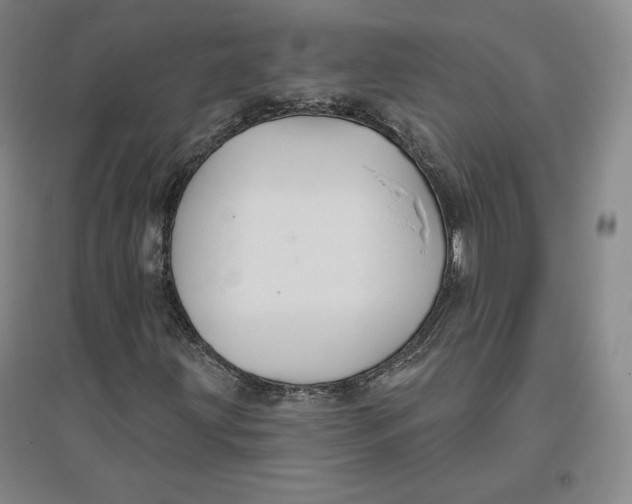 X0000096971203200802291113