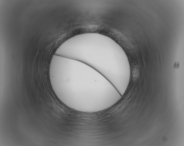 X0000096971204200802291113