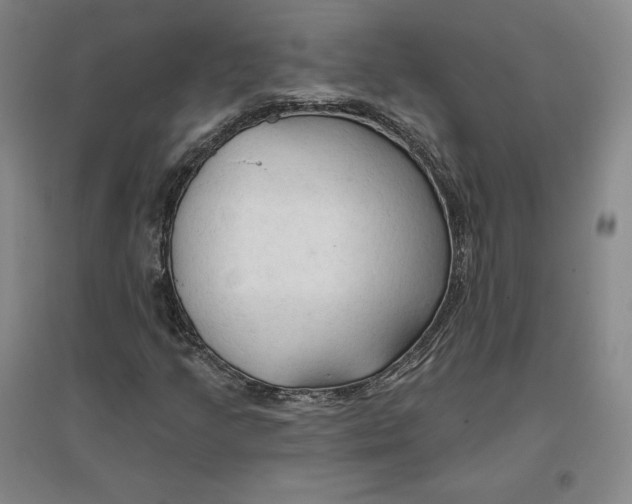 X0000096971205200802291113