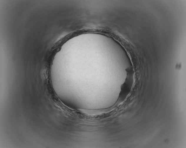 X0000096971206200802291113