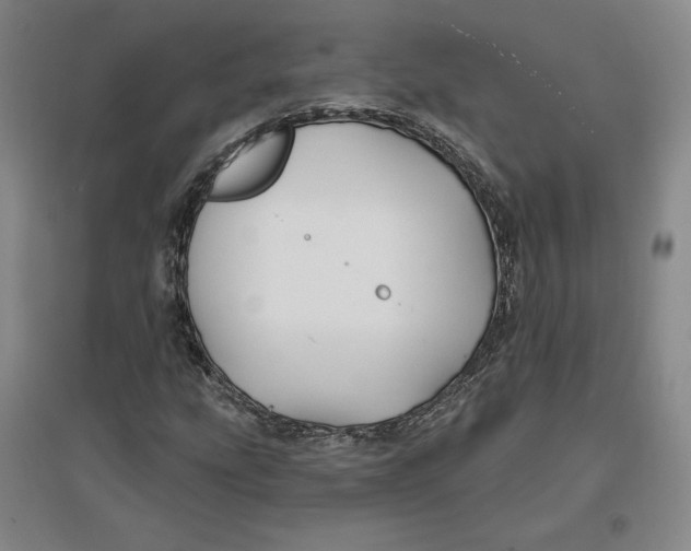 X0000096971207200802291113