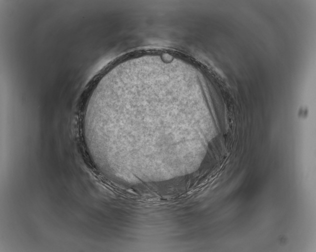 X0000096971208200802291113