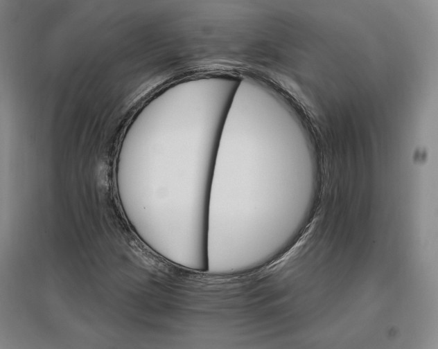 X0000096971209200802291113