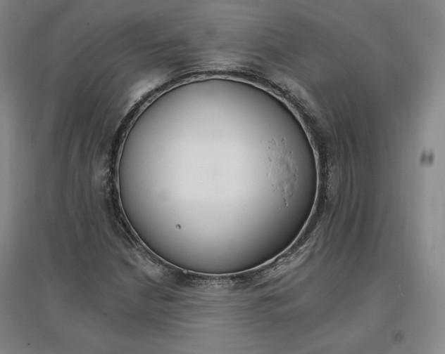 X0000096971210200802291113