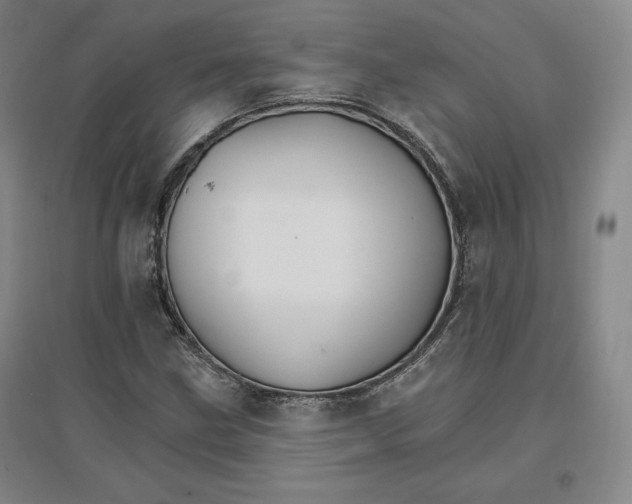 X0000096971211200802291113