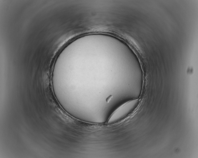 X0000096971212200802291113