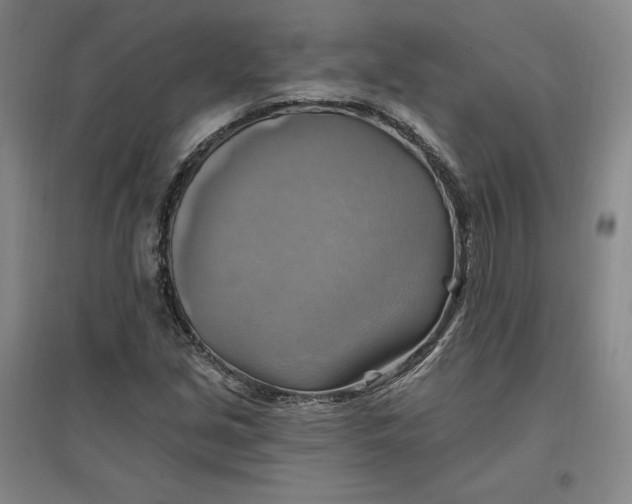 X0000096971213200802291113