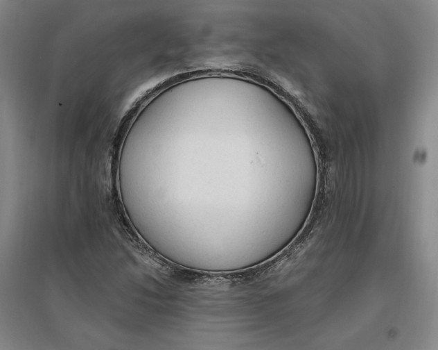 X0000096971214200802291114