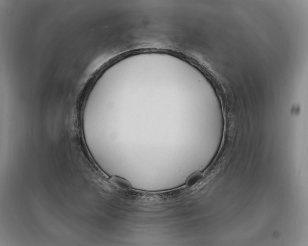 X0000096971215200802291114