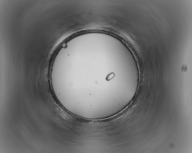 X0000096971216200802291114