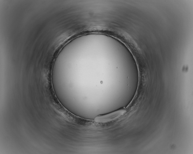 X0000096971217200802291114