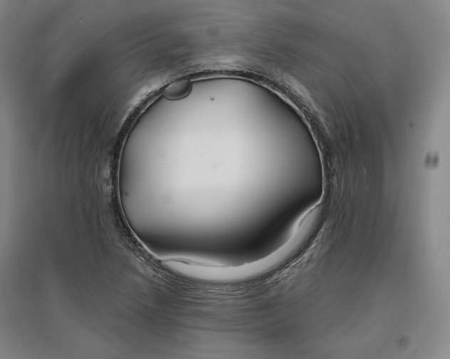 X0000096971218200802291114