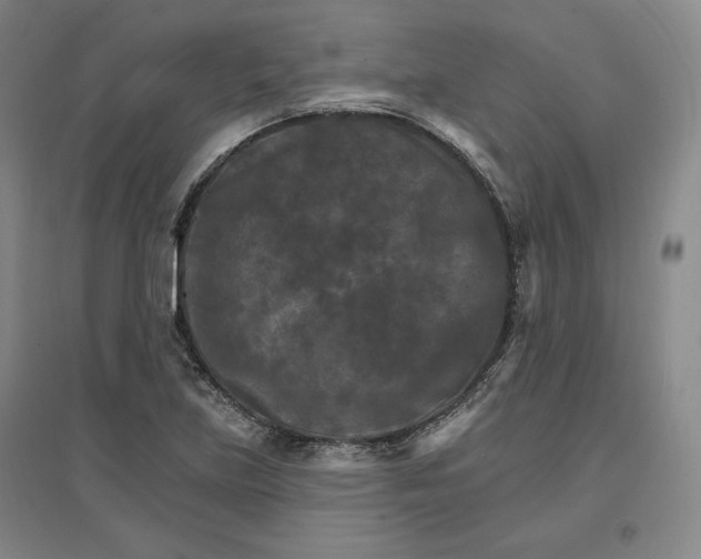 X0000096971219200802291114