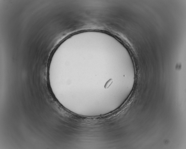 X0000096971220200802291114