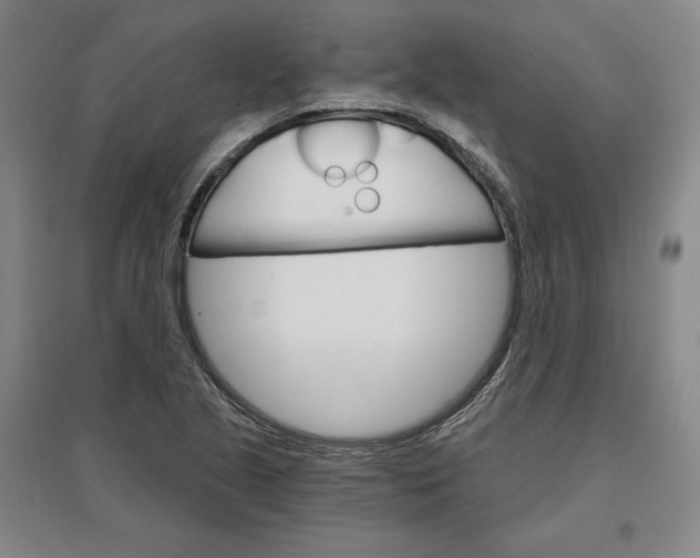 X0000096971221200802291114