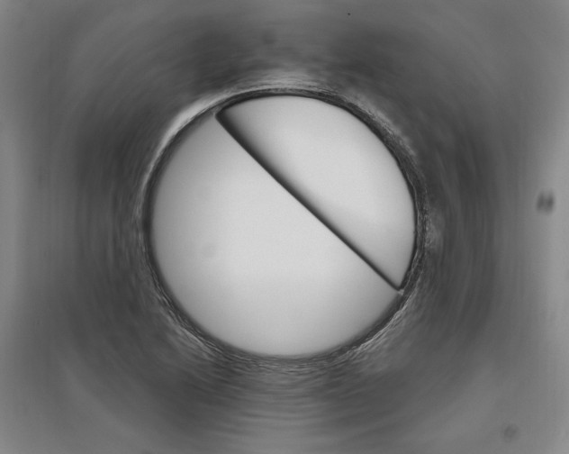 X0000096971222200802291114