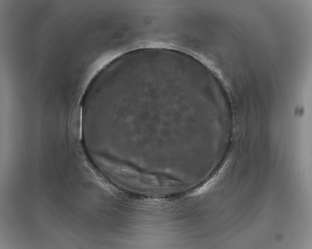 X0000096971223200802291114