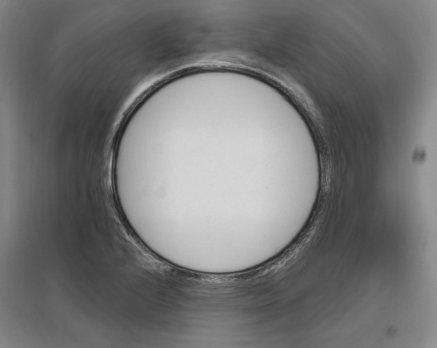 X0000096971224200802291114