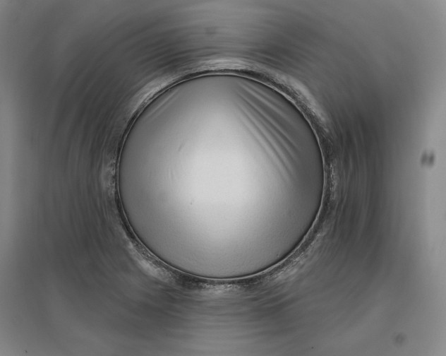 X0000096971225200802291114