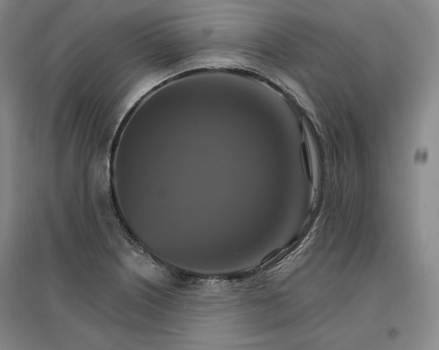 X0000096971226200802291114