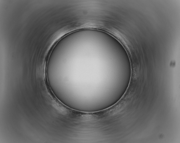 X0000096971227200802291114