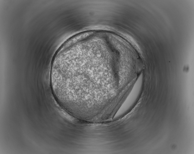 X0000096971228200802291114