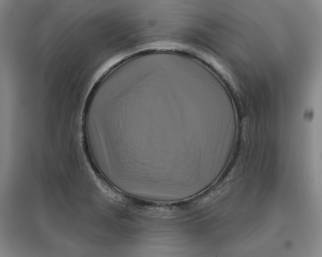 X0000096971229200802291114