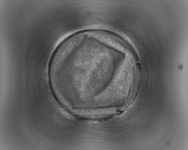 X0000096971230200802291114