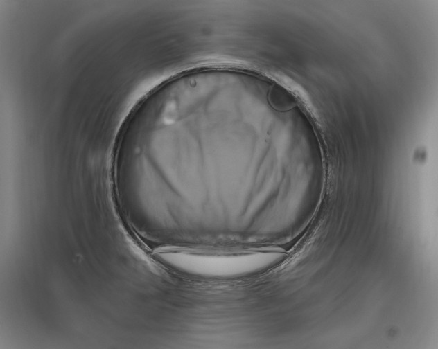 X0000096971231200802291114