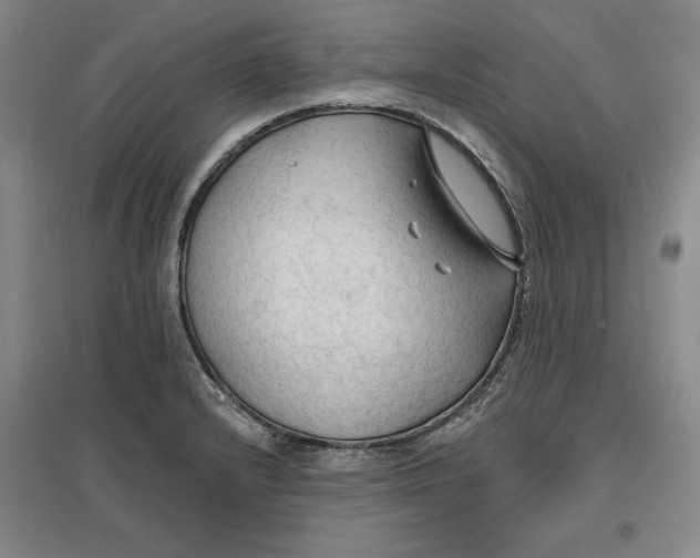 X0000096971232200802291114