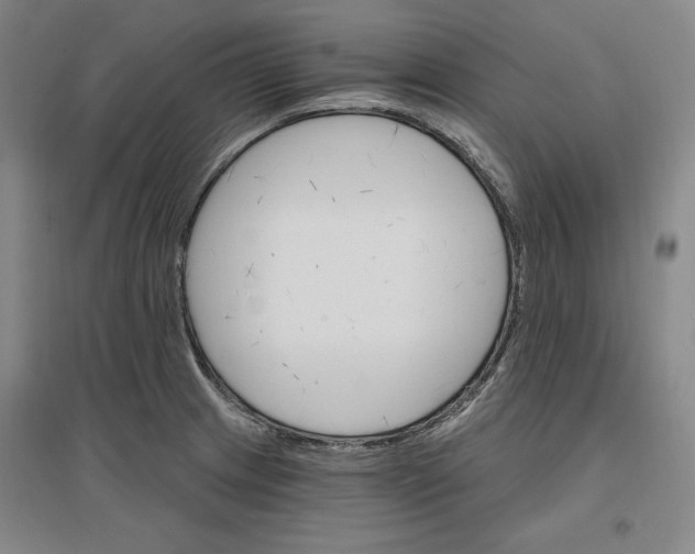 X0000096971233200802291114