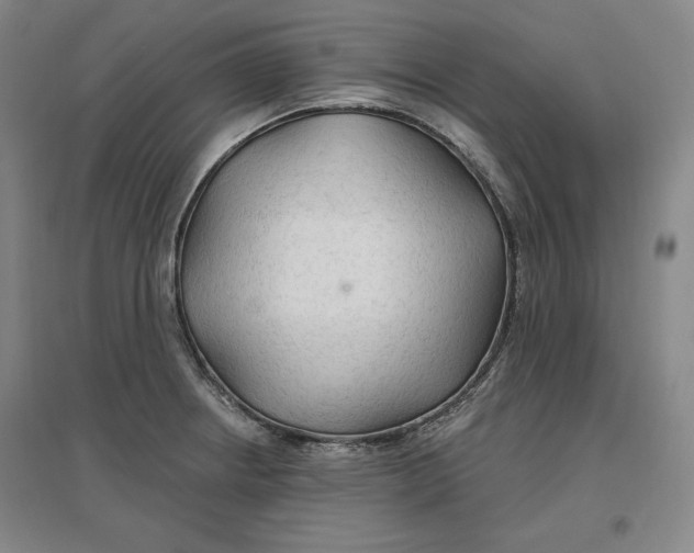 X0000096971234200802291114