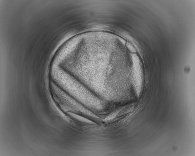 X0000096971235200802291114