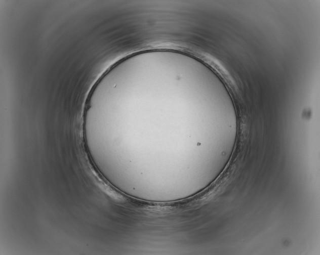 X0000096971236200802291114