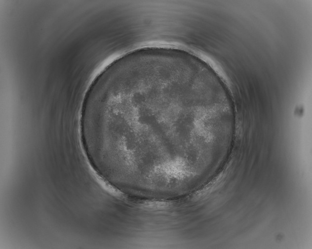 X0000096971237200802291114