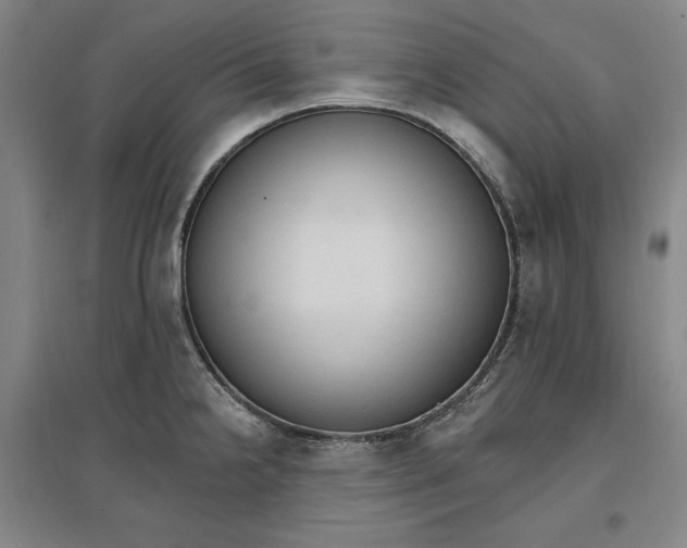 X0000096971238200802291114