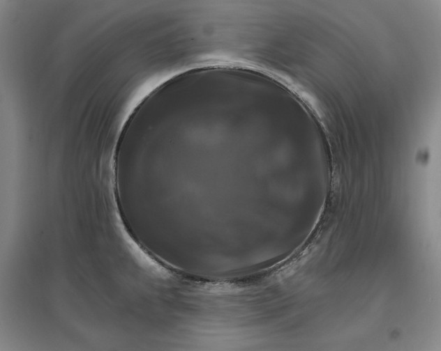 X0000096971239200802291114