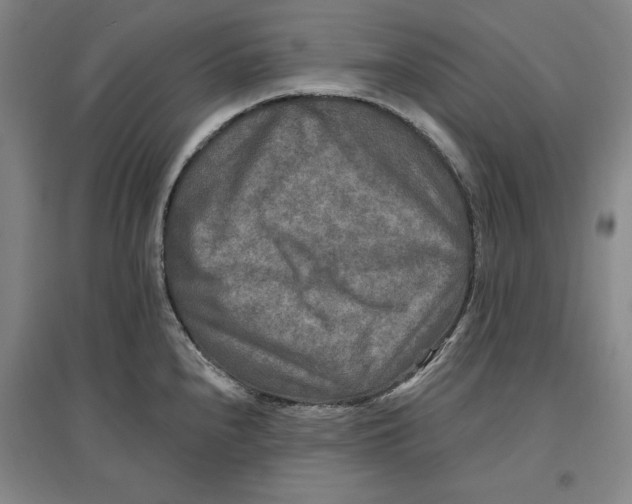 X0000096971240200802291114