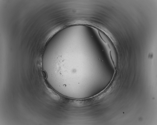 X0000096971241200802291114