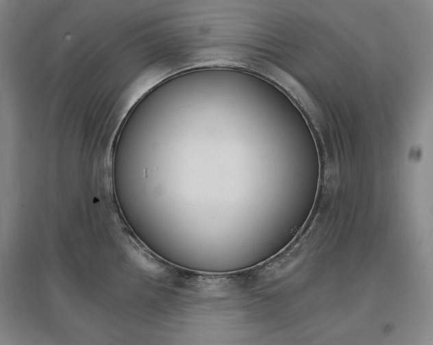 X0000096971242200802291114