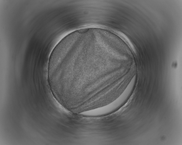 X0000096971244200802291114