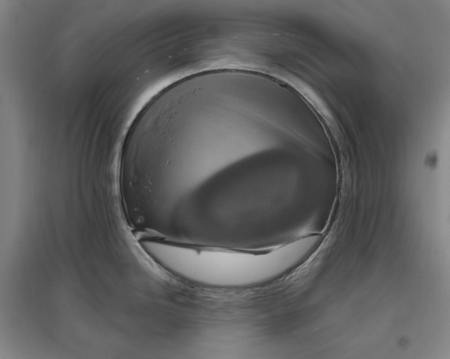 X0000096971246200802291114