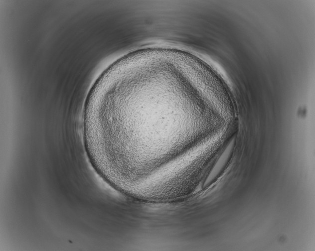 X0000096971247200802291114