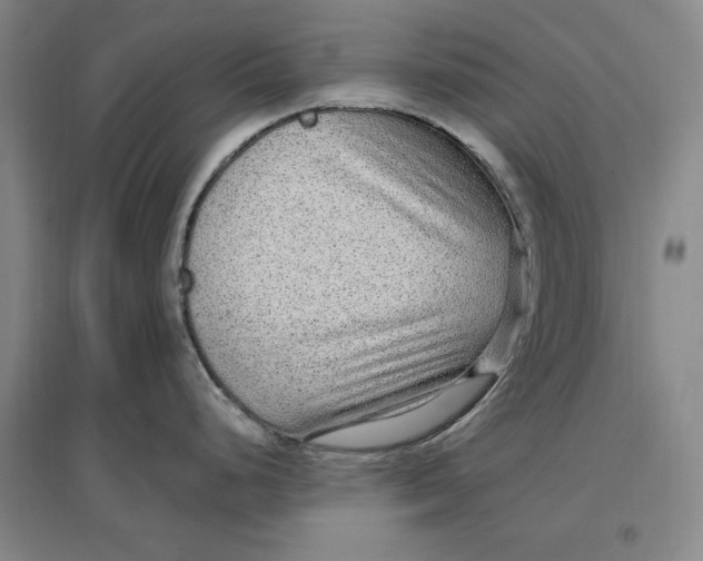 X0000096971248200802291114