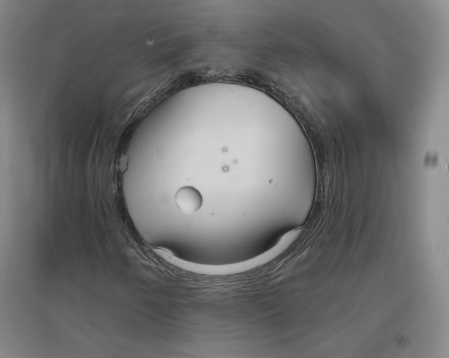 X0000096971250200802291113